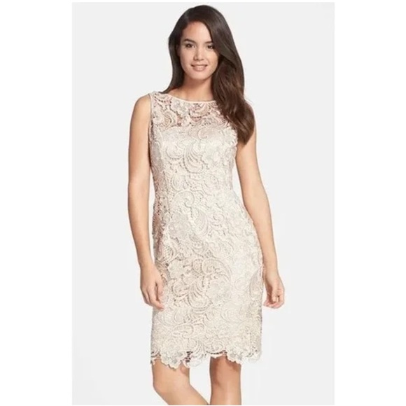 Adrianna Papell Illusion Neckline Lace Sheath Dress Champagne Size 4 New w Tag - Picture 1 of 16